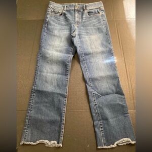 Ann Taylor Blue Women Jeans